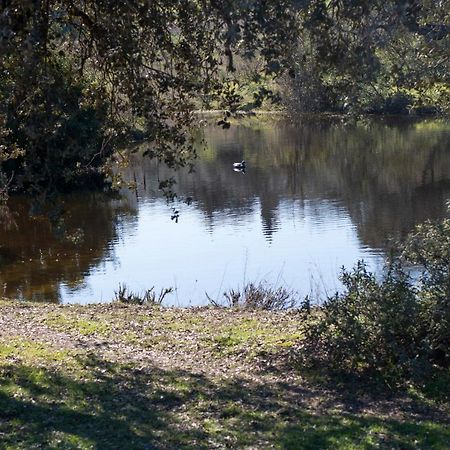 הוילה לה פואבלה דה לוס אינפאנטס Casa Cortijo En Dehesa Sierra Leon מראה חיצוני תמונה