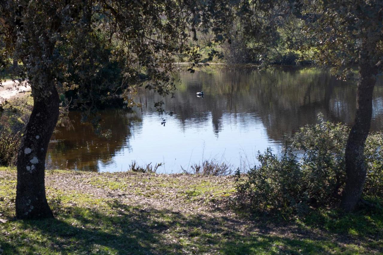הוילה לה פואבלה דה לוס אינפאנטס Casa Cortijo En Dehesa Sierra Leon מראה חיצוני תמונה